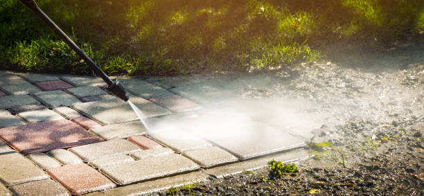 Best Solar Panel Cleaning  in Lamar, TX
